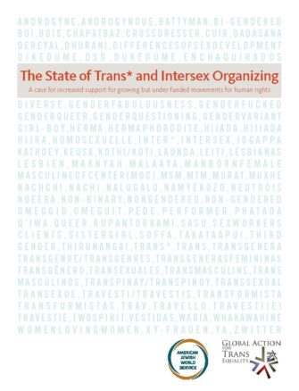 The State of Trans* and Intersex Organizing 2013 CoverPage
