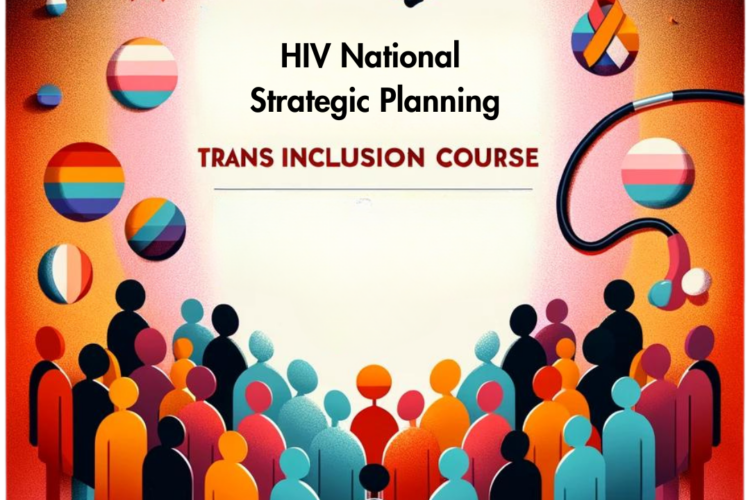 text: HIV National Strategic Planning, Trans Inclusion Course. The image features several LGBTI flags and people icons
