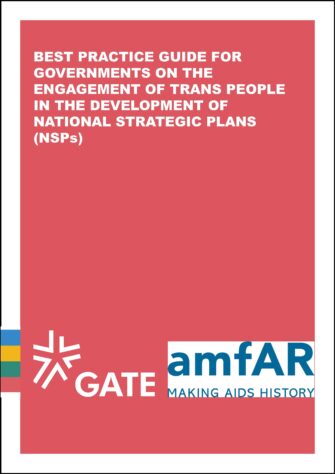 Best Practice Guideline for Governments NSP CoverPage