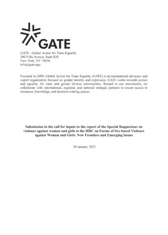 Submission to the call for inputs to the report of the Special Rapporteur on violence against women and girls to the HRC on Forms of Sex-based Violence against Women and Girls: New Frontiers and Emerging Issues