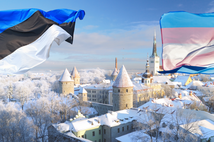 Estonia picture with a Estonian Flag and a Trans Flag