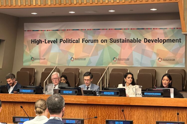 GATE Human Rights Officer at HLPF 2025 GATE