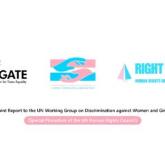 Joint Report to the UN Working Group on Discrimination against Women and Girls Special Procedure of the UN Human Rights Council