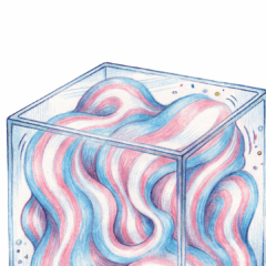 An Engineered Hostility The architecture of anti trans oppression in South West Asia and North Africa