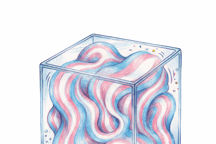 An Engineered Hostility The architecture of anti trans oppression in South West Asia and North Africa